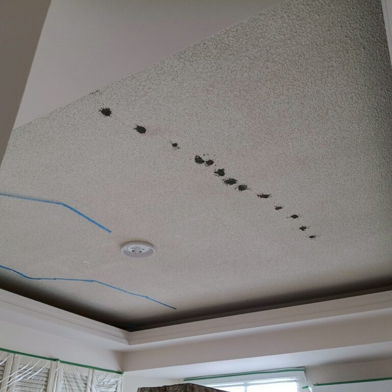 天花板抓漏工程 台中北區施工中4