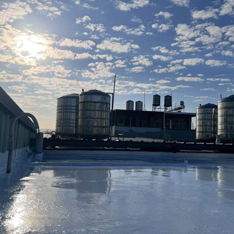 屋凸PU防水隔熱工程 台中大雅完工1