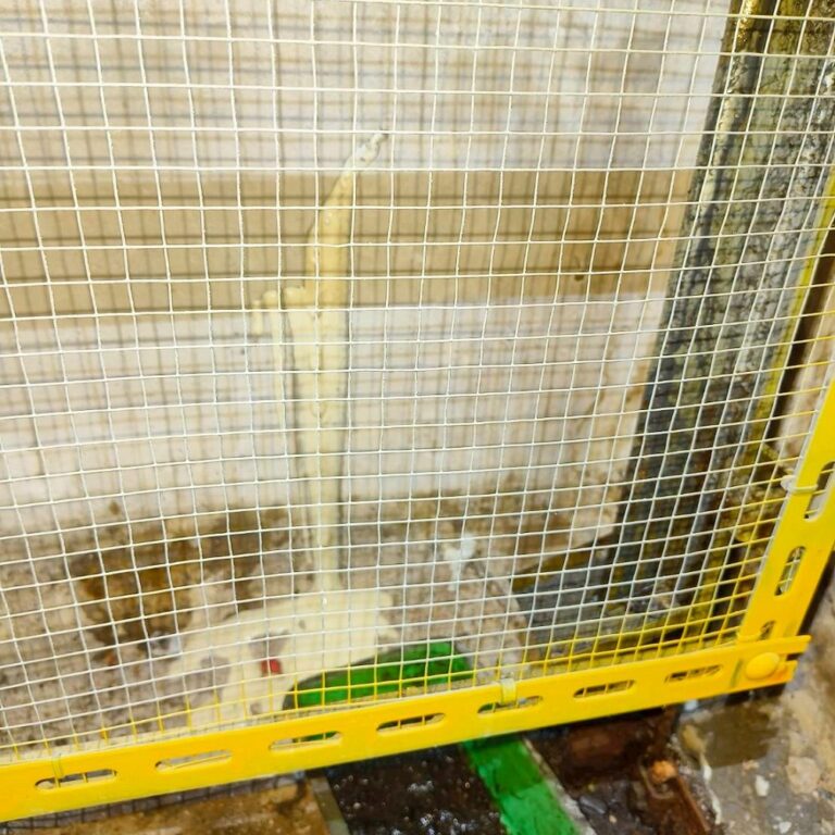 電梯基坑抓漏 南屯文山里文化館活動中心完工3