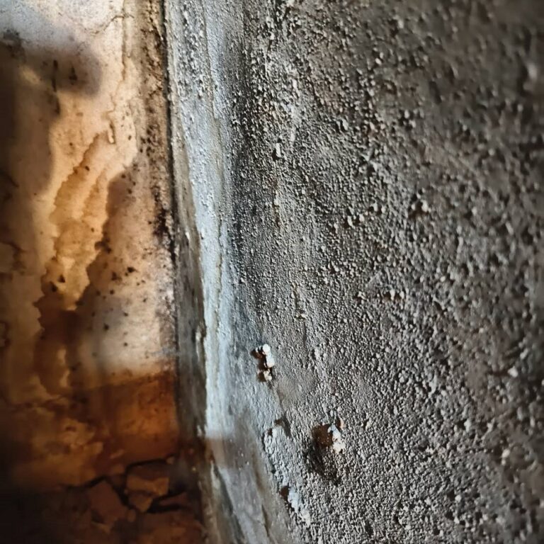 電梯基坑抓漏 南屯文山里文化館活動中心施工前2