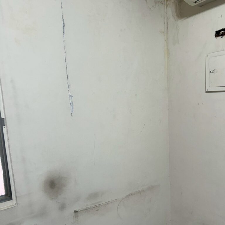 內部壁癌油漆工程 台中太平1