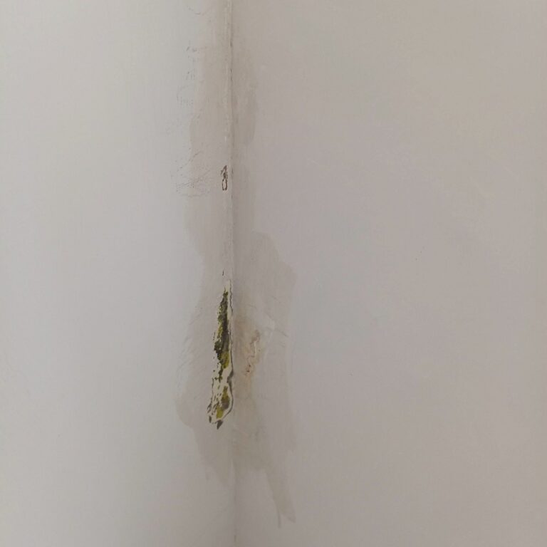 內部壁癌處理 台中北區德化街3