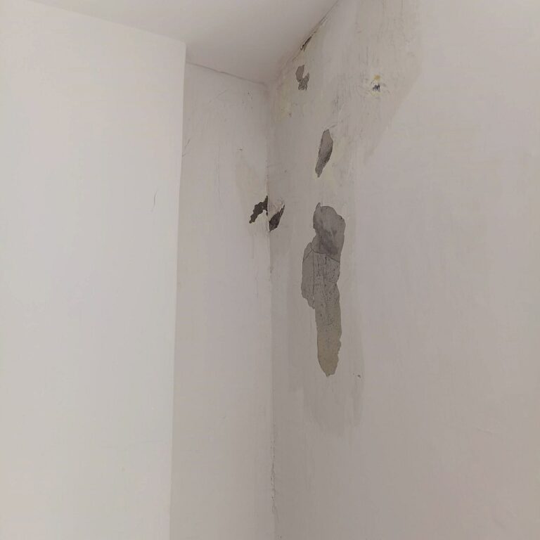 內部壁癌處理 台中北區德化街4