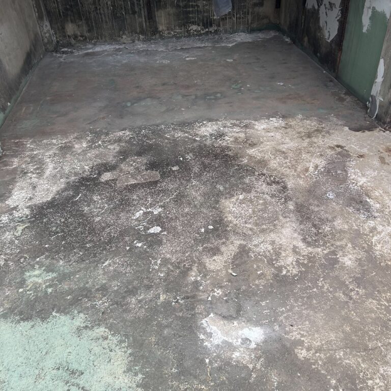 屋頂PU防水隔熱 台中太平永義路施工前3