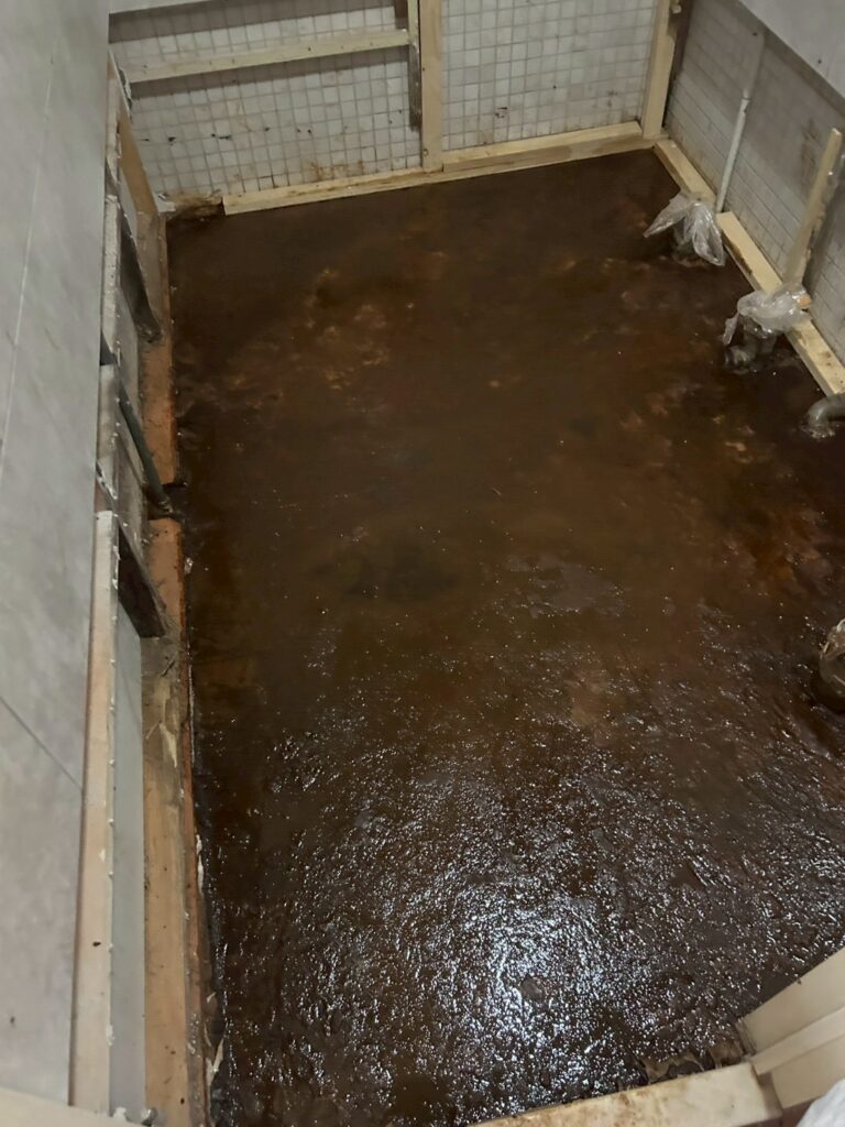 LINE ALBUM 115529廁所防水與地面熱熔毯工程台中西屯大容東街 260609 1