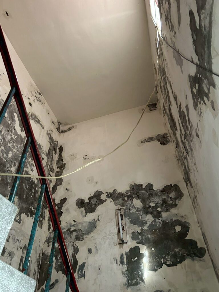 LINE ALBUM 115623外牆防水、屋頂PU防水、屋內壁癌處理（台中梧棲） 260625 3
